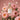 DEEPEST FLORAL